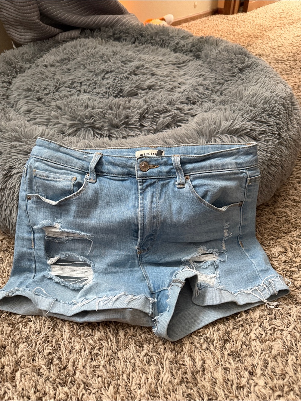 Black Label Light Blue Distressed Denim Jean Shorts